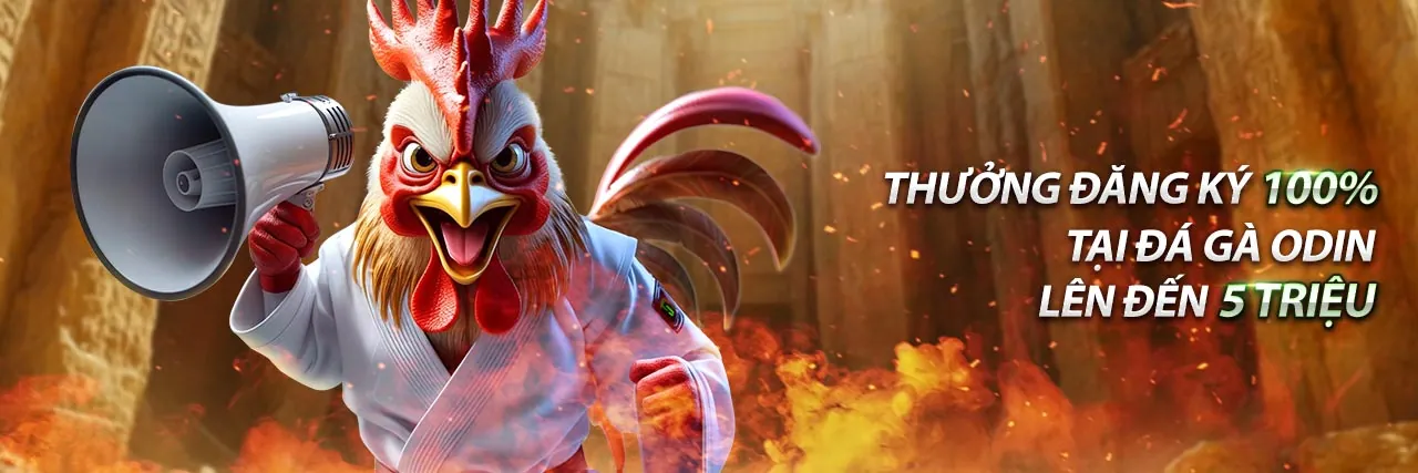 Sân đấu đá gà kịch tính tại 44win55