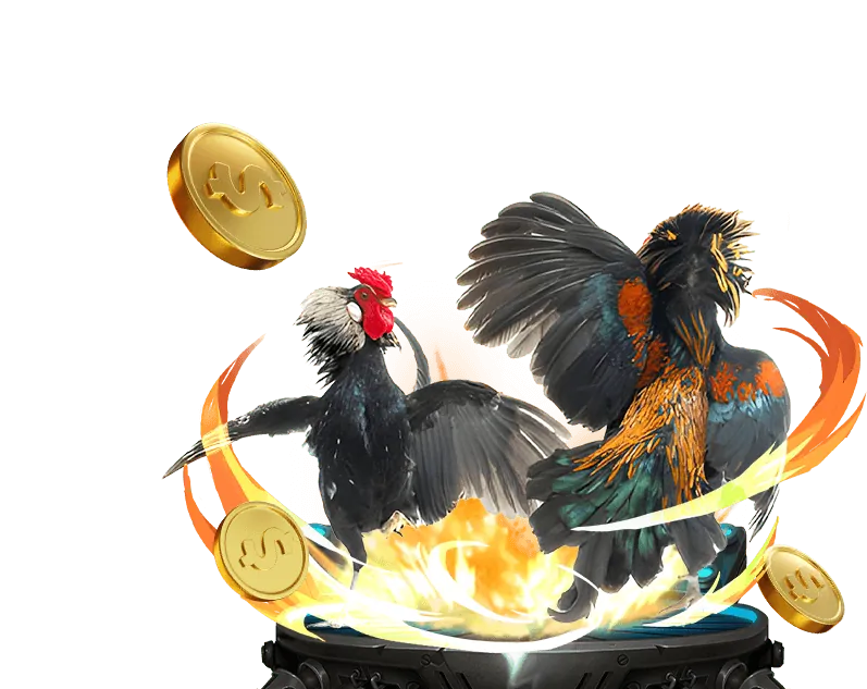 Đá gà trực tiếp tại 44win55